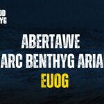 Abertawe Siarc Benthyg Arian Euog